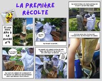 Galerie photo 